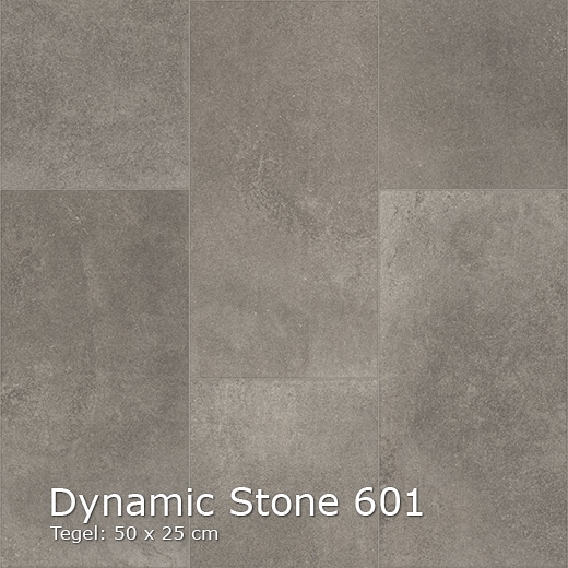 Dynamic Stone-601